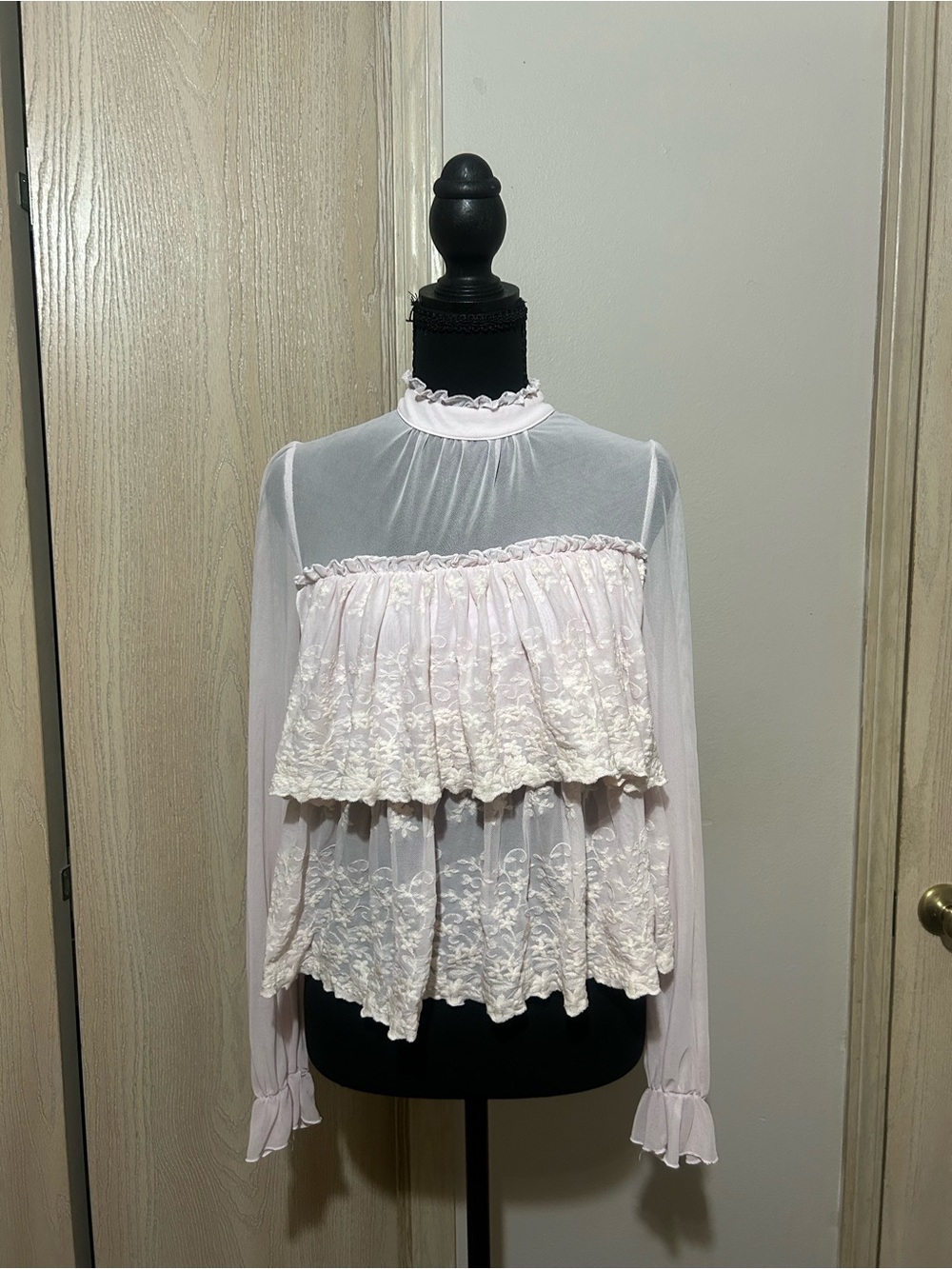 Francesca's Collections Pale Pink Sheer Lace Ruffle Blouse